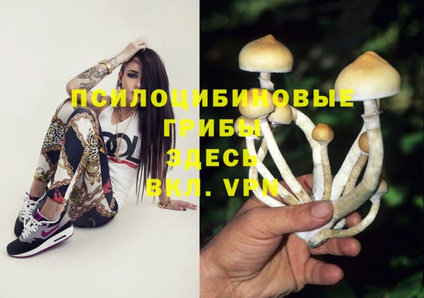 гашик Осташков