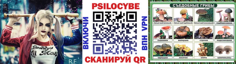 Псилоцибиновые грибы Magic Shrooms  MEGA tor  Стрежевой 