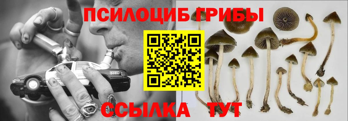 Стрежевой  Псилоцибиновые грибы мицелий  Галлюциногенные грибы GOLDEN TEACHER  Вход с VPN 